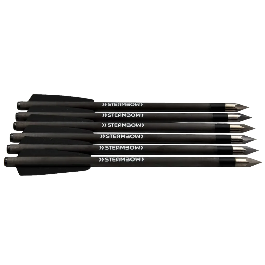 Steambow AR-Series – Carbon Light Bodkin Arrows x 6