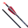 TenPoint CenterPunch HPX Alpha-Blaze Carbon Arrows, 20", .001"