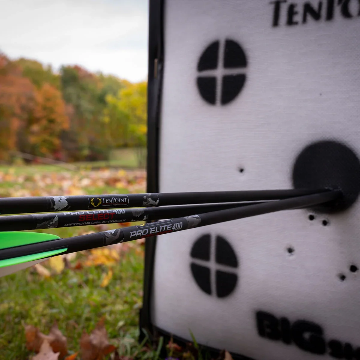 TenPoint Pro Elite 400 Select Alpha-Blaze Carbon Arrows, 20", .001" - Image 5