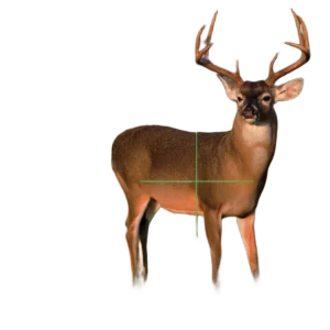 TenPoint Vision Rangefinding Crossbow Scope - Image 2