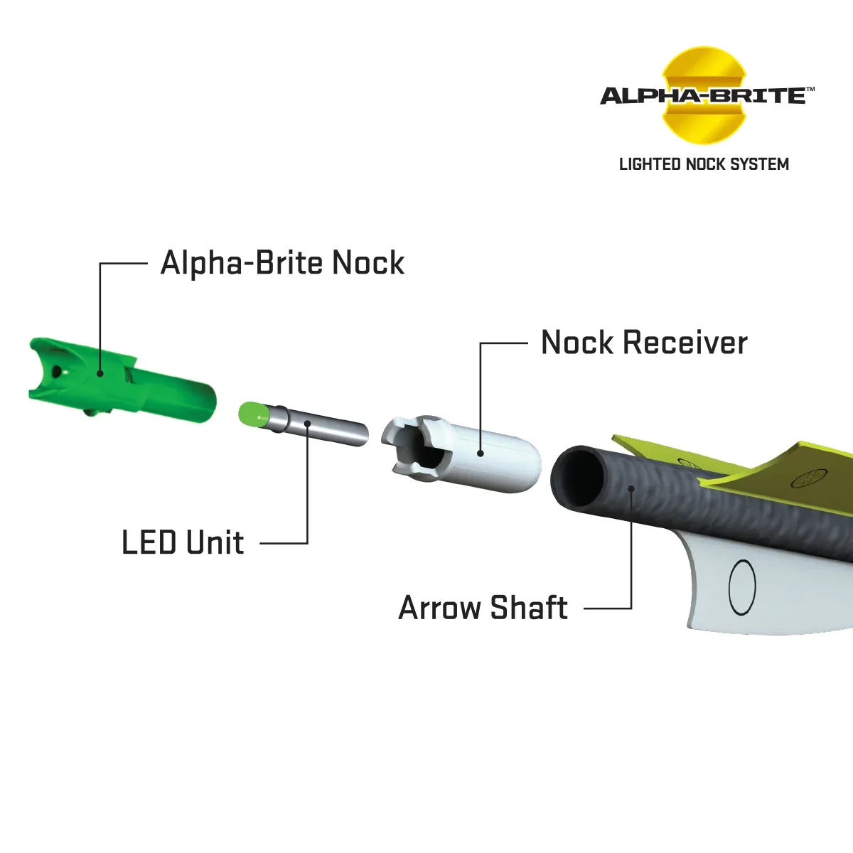 Wicked Ridge XX75 Alpha-Brite Aluminum Arrows, 20" .003" - Image 2
