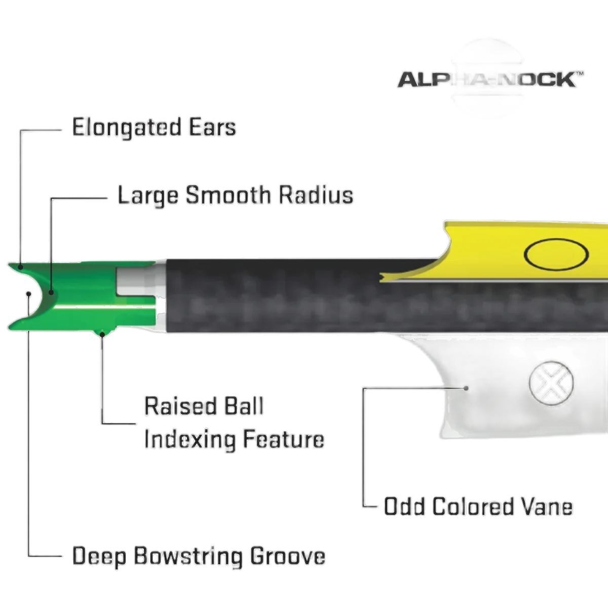 Wicked Ridge XX75 Alpha-Brite Aluminum Arrows, 20" .003" - Image 4